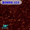 [BSM99] 131