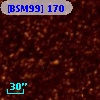 [BSM99] 170
