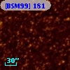 [BSM99] 181