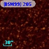 [BSM99] 205