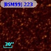 [BSM99] 223