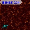 [BSM99] 224