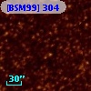 [BSM99] 304