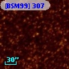 [BSM99] 307
