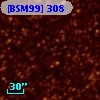 [BSM99] 308