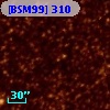 [BSM99] 310