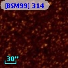 [BSM99] 314