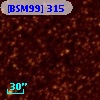 [BSM99] 315