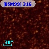 [BSM99] 316