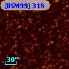 [BSM99] 318