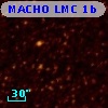 MACHO LMC  1b