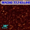 MACHO  77.7431.4491