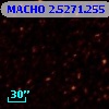 MACHO   2.5271.255
