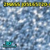 2MASS J05165720-6928397