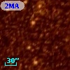 2MASS J05195211-6928022