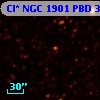 Cl* NGC 1901    PBD       3