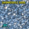 [KDM2001]  3001