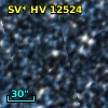 SV* HV 12524