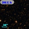 [H61] h