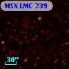 2MASS J05151758-6841198