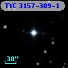 TYC 3157-309-1