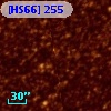 [HS66] 255