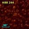 H88 244