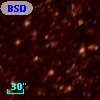 BSDL 1855
