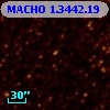 MACHO   1.3442.19
