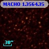 MACHO   1.3564.35