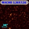 MACHO   1.3687.56