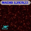 MACHO   1.3929.22