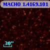 MACHO   1.4169.101