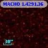 MACHO   1.4291.36