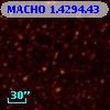 MACHO   1.4294.43