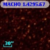 MACHO   1.4295.67