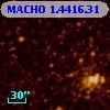 MACHO   1.4416.31