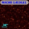 MACHO   1.4536.61