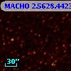 MACHO   2.5628.4423