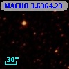 MACHO   3.6364.23