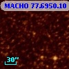 MACHO  77.6950.10