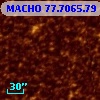 MACHO  77.7065.79