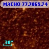 MACHO  77.7068.74