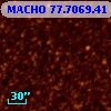 MACHO  77.7069.41