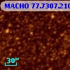 MACHO  77.7307.210