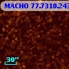 MACHO  77.7310.243