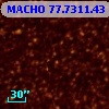 MACHO  77.7311.43
