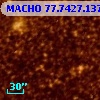 MACHO  77.7427.137