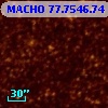 MACHO  77.7546.74