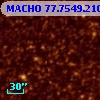 MACHO  77.7549.210